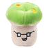 Squeaky Plush Chew Toys